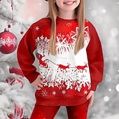 Недорогие Детские рождественские наборы-Девочки 3D Каждый В снежинку Рождественские наборы Комплект из толстовки и леггинсов Набор Длинный рукав 3D печать Осень Зима Активный Мода Повседневные Дети 3-12 лет Вырез под горло