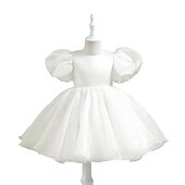 abordables Robes de fête-Tout-petit Fille Robe de Soirée Couleur Unie Manche Courte Performance Manche Gigot Mignon Princesse Polyester Mi-long Été Printemps 3-7 Ans Noir Blanche Rose Claire