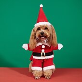 economico Abbigliamento e Accessori per Cani-Prodotti per cani Prodotti per gatti Costume di Natale Abito natalizio Di tendenza stile sveglio Inverno Morbido Lavabile Comodo Natale Esterno Casual / quotidiano Festival Bichon Frise Barboncino