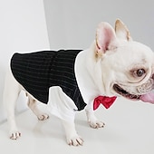economico Abbigliamento e Accessori per Cani-Prodotti per cani Prodotti per gatti Tuta Di tendenza stile sveglio Inverno Morbido Lavabile Comodo Matrimonio Esterno Feste Compleanno Ricevimento di matrimonio Abbigliamento per cani for Bichon