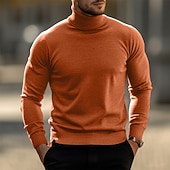 economico maglione pullover da uomo-Per uomo Maglione di Natale Maglioni di Natale Dolcevita Maglione per le feste Maglione A Coste Maglia Top Regolari Lavorato a maglia Base Semplice Dolcevita Tenere al Caldo Moderno Contemporaneo