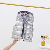 Kinderen Uniseks Vest jas Mouwloos Zilver gebroken wit Zwart Gewatteerd jack voor kinderen Effen Kleur Vetoketju Lente Herfst Stoer School 7-13 jaar voordelige Meisjesvest-Kinderen Uniseks Vest jas Mouwloos Zilver gebroken wit Zwart Gewatteerd jack voor kinderen Effen Kleur Vetoketju Lente Herfst Stoer School 7-13 jaar