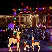 abordables Lumières de Noël-3 pièces éclairage de cerf de Noël bonne année jardin cerf lumineux de Noël, décor de scène, décor de festivals, décor de chambre, décor de maison, décor de bureaux, décor de fête à thème, décor de noël acrylique 2d plat