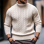 preiswerte Herrenpullover-Herren Rollkragenpulli Pullover Zur Seite fahren Gerippt Gedrehtes Stricken Strick Glatt Rollkragen warm halten Brautkleider schlicht Freizeitskleidung Urlaub Bekleidung Herbst Winter Kamel Schwarz M