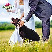 economico Abbigliamento e Accessori per Cani-Prodotti per cani Prodotti per gatti Tuta Di tendenza stile sveglio Inverno Morbido Lavabile Comodo Matrimonio Esterno Feste Ricevimento di matrimonio Festival Abbigliamento per cani for Bichon Frise
