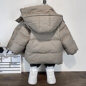 billiga Pojkars dunjacka och parka-Barn Pojkar Fleece-jacka Hoodiejacka Ytterkläder Ensfärgat Långärmad Dragkedja Täcka Ledigt Förtjusande Dagligen Svart Grön Khaki grön Vår Höst 7-13 år