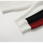 levne pánský pulovrový svetr-Pánské Svetr Oříznutý svetr Pulovrový svetr Vaflová Plést Zkrácené Pletený Proužek Výstřih ke krku Zahřívací Ležérní Oblečení Klínové rukávy Podzim zima Černá Bílá M L XL