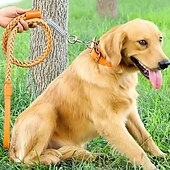 お買い得  犬用首輪＆ハーネス＆リード-犬用 猫用 カラー リード 調整可能 携帯用 耐久 アウトドア ウォーキング