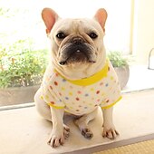 billiga Pyjamas-Hund Katt Tröja Pyjamas Mode söt stil Vinter Varm Mjuk Tvättbar Bekväm Utomhus Inomhus Ledigt / vardag Hundkläder for Bichon Frisé Pudel Pommeran valpen eller det lilla husdjuret Fjäril