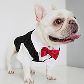 economico Abbigliamento e Accessori per Cani-Prodotti per cani Prodotti per gatti Tuta Di tendenza stile sveglio Inverno Morbido Lavabile Comodo Matrimonio Esterno Feste Compleanno Ricevimento di matrimonio Abbigliamento per cani for Bichon