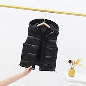 Kinderen Uniseks Vest jas Mouwloos Zilver gebroken wit Zwart Gewatteerd jack voor kinderen Effen Kleur Vetoketju Lente Herfst Stoer School 7-13 jaar voordelige Meisjesvest-Kinderen Uniseks Vest jas Mouwloos Zilver gebroken wit Zwart Gewatteerd jack voor kinderen Effen Kleur Vetoketju Lente Herfst Stoer School 7-13 jaar