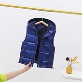 Kinderen Uniseks Vest jas Mouwloos Zilver gebroken wit Zwart Gewatteerd jack voor kinderen Effen Kleur Vetoketju Lente Herfst Stoer School 7-13 jaar voordelige Meisjesvest-Kinderen Uniseks Vest jas Mouwloos Zilver gebroken wit Zwart Gewatteerd jack voor kinderen Effen Kleur Vetoketju Lente Herfst Stoer School 7-13 jaar