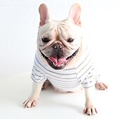 preiswerte Pyjama-Hunde Katzen Pyjamas Modisch Kuschelig Winter Weich Waschbar Komfortabel Innen Casual Hundebekleidung for Bichon Frise Pudel Spitz kleines Haustier Schmetterling