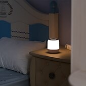 economico Luci notturne da interno-tocco ricaricabile ha condotto la luce notturna alimentazione notturna lampada da comodino atmosfera lampada pat lampada da tavolo dormitorio