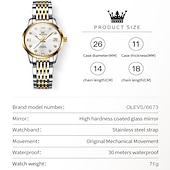 cheap Mechanical Watches-OLEVS 6673 Fashion Business Silver Stainless Steel Women Mechanical Watches Top Brand Luxury Waterproof Automatic Watch