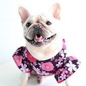 economico Vestiti-Cane Gatto Vestito Moda Carino Inverno Morbido Lavabile Confortevole All&#039;aperto Casual Quotidiano Abbigliamento per Cani for Bichon Frisé Barboncino Volpino di Pomerania Cucciolo Papillon