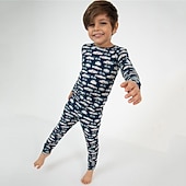 お買い得  男の子の3Dスポーツ＆ゲーム-男の子 3D 車載 パジャマセット 長袖 3Dプリント 秋 冬 活発的 クール 日常 子供 3〜12年 クルーネック 家 カジュアル 屋内 レギュラー