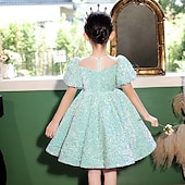 cheap Party Dresses-Girls&#039; 3D colour Dress Short Sleeve Summer Spring Wedding Party Cute Princess Kids 3-12 Years A Line Dress Tulle Dress Maxi Regular Fit