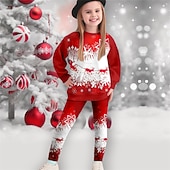 Недорогие Детские рождественские наборы-Девочки 3D Каждый В снежинку Рождественские наборы Комплект из толстовки и леггинсов Набор Длинный рукав 3D печать Осень Зима Активный Мода Повседневные Дети 3-12 лет Вырез под горло