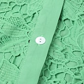 preiswerte Damen Arbeitsoberteile-Damen Hemd Spitzenhemd Tunika Hemdbluse elegant Urlaub Damen einfarbig Blumenspitze Häkel Langarm normale Oberteile Hemdkragen Party Casual Alltag Schwarz Weiß Wein Mintgrün