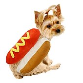 cheap Halloween Pet Costume-Hamburg Cartoon Personality Innovation Cute And Comfortable Cotton Cross Dressing Winter Warmth Preservation
