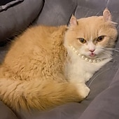 abordables Colliers, harnais et laisses pour chiens-Chien Chat Petits Animaux à Fourrure Collier Ajustable Portable Mignon et câlin Extérieur Marche