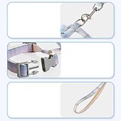 abordables Collares, arneses y correas para perros-Perros Gatos Bozales Correas Ajustable Portátil Duradero Exterior Paseo