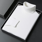 billige genser for menn-Herre Turtleneck genser Pullover genser Julegenser Riflet Strikke Vanlige topper Strikket عادي Rullekrage Hold Varm Moderne Moderne Dagligdagstøy Ut på byen Klær Høst Vinter Kamel Svart S M L