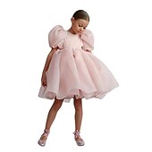abordables Robes de fête-Tout-petit Fille Robe de Soirée Couleur Unie Manche Courte Performance Manche Gigot Mignon Princesse Polyester Mi-long Été Printemps 3-7 Ans Noir Blanche Rose Claire