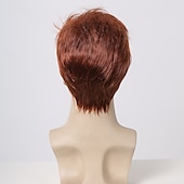 cheap Mens Wigs-Synthetic Wig Uniforms Career Costumes Princess kinky Straight Middle Part Layered Haircut Machine Made Wig 8 inch sepia Synthetic Hair Men&#039;s Cosplay Party Fashion Brown