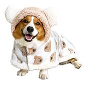 ieftine Îmbrăcăminte și accesorii pentru câini-Câini Pisici Manta Modă Dulce Iarnă Cald Respirabil Απαλό Lavabil Comfortabil Crăciun Halloween În aer liber Casul / Zilnic Îmbrăcăminte pentru câini for Bichon Frise Pomeran un Animalut Fluture Small