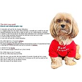 tanie Kamizelka chłodząca i koszula-Psy Koty T-shirt Moda Codzienny Zima Oddychający Miękka Zmywalny Wygodny Na zewnątrz Codzienne Ubranka dla psów for Bichon frise Szpic miniaturowy szczeniaków i młodych kotów Motyl Small
