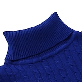 preiswerte Herrenpullover-Herren Rollkragenpulli Pullover Strickpullover Rollkragenpullover für Herren Gerippt Gedrehtes Stricken Retro Stilvoll Farbblock Rollkragen Perlenbesetzter Saum Pullover Täglich Festtage Bekleidung