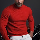 お買い得  男性用プルオーバーセーター-男性用 クリスマスセーター タートルネックセーター プルオーバーセーター ニット リブ ニット レギュラートップス ベーシック 平織り タートルネック 保温 現代コンテンポラリー デイリーウェア お出かけ 衣類 秋冬 ブラック ワイン S M L