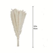 baratos esculturas e estátuas de jardim-15 peças de pastagem de pampas brancas, 6,69/17,72 polegadas, ramos de grama de pampas secos naturais, decoração para casa, cozinha, jardim, festa, arranjo de flores, decoração de vaso (branco)
