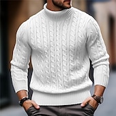 preiswerte Herrenpullover-Herren Rollkragenpulli Pullover Zur Seite fahren Gerippt Gedrehtes Stricken Strick Glatt Rollkragen warm halten Brautkleider schlicht Freizeitskleidung Urlaub Bekleidung Herbst Winter Kamel Schwarz M