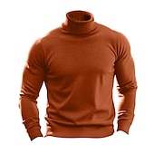 cheap Men&#039;s Pullover Sweater-Men&#039;s Turtleneck Sweater Pullover Sweater Jumper Knit Sweater Mens Turtle Neck Jumper Ribbed Knit Regular Tops Knitted Basic Plain Turtleneck Keep Warm Modern Contemporary Daily Wear Going out
