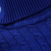 preiswerte Herrenpullover-Herren Rollkragenpulli Pullover Strickpullover Rollkragenpullover für Herren Gerippt Gedrehtes Stricken Retro Stilvoll Farbblock Rollkragen Perlenbesetzter Saum Pullover Täglich Festtage Bekleidung
