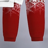 abordables Vision 3D et Géométrie du Garçon-Garçon 3D Motif de flocon de neige Coffrets de Noël Ensemble sweat à capuche et pantalon de survêtement manche longue 3D effet Automne Hiver Actif Mode Frais Enfants 3-12 ans Capuche Extérieur