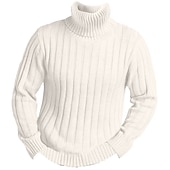cheap Men&#039;s Pullover Sweater-Men&#039;s Turtleneck Sweater Pullover Sweater Jumper Knit Sweater Mens Turtle Neck Jumper Ribbed Knit Regular Knitted Pit Plain Roll Neck Keep Warm Modern Contemporary Daily Wear Going out Clothing