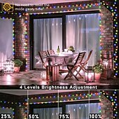 お買い得  プラグイン式電源-100M フレキシブルＬＥＤライトストリップ ストリングライト クリスマスストリングライト 1000 LED 2835 SMD 温白色 マルチカラー ネットホワイト クリエイティブストリングライト ホリデーライト パーティー ホリデー ウェディング 31 V