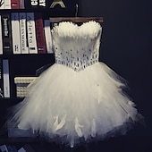 ieftine Costume de Dans-Pentru femei Prințesă Dansatoare de balerină Performanță Dans Rochii Tutu cu etaje Rochie Lungă Drăguţ Petrecere Tul Pană Alb Rochie
