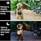 economico Luci paesaggistiche-Luci solari per cani da esterno impermeabili Decorazioni per il giardino per cani Luci solari da giardino per esterni impermeabili Decorazione paesaggistica Lampada da prato ornamenti da esterno