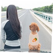 billiga Tröjor-Hund Katt Tröjor Jumper Förtjusande Ledigt Vinter Andningsfunktion Mjuk Tvättbar Bekväm Utomhus Ledigt / vardag Hundkläder for Bichon Frisé Pommeran valpen eller det lilla husdjuret Fjäril Small