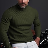 お買い得  男性用プルオーバーセーター-男性用 クリスマスセーター タートルネックセーター プルオーバーセーター ニット リブ ニット レギュラートップス ベーシック 平織り タートルネック 保温 現代コンテンポラリー デイリーウェア お出かけ 衣類 秋冬 ブラック ワイン S M L