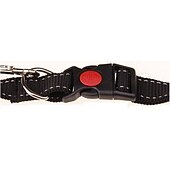 abordables Collares, arneses y correas para perros-Perros Gatos Correas Ajustable Portátil Duradero Exterior Paseo Color sólido