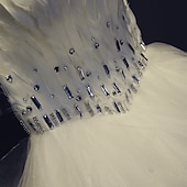 ieftine Costume de Dans-Pentru femei Prințesă Dansatoare de balerină Performanță Dans Rochii Tutu cu etaje Rochie Lungă Drăguţ Petrecere Tul Pană Alb Rochie