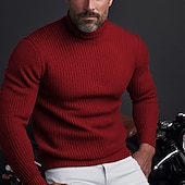 お買い得  男性用プルオーバーセーター-男性用 クリスマスセーター タートルネックセーター プルオーバーセーター ニット リブ ニット レギュラートップス ベーシック 平織り タートルネック 保温 現代コンテンポラリー デイリーウェア お出かけ 衣類 秋冬 ブラック ワイン S M L