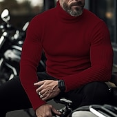 cheap Men&#039;s Pullover Sweater-Men&#039;s Turtleneck Sweater Pullover Sweater Jumper Knit Sweater Ribbed Knit Regular Tops Pitted Plain Roll Neck Keep Warm Modern Contemporary Casual Daily Wear Clothing Apparel Fall Winter Black White