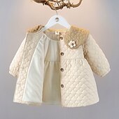 Недорогие Верхняя одежда-Дети (1-4 лет) Девочки Пуховик Сплошной цвет Активный кнопка Школа Пальто Верхняя одежда 3-7 лет Весна Бежевый